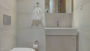 A modern bathroom with a toilet, sink, and mirror.