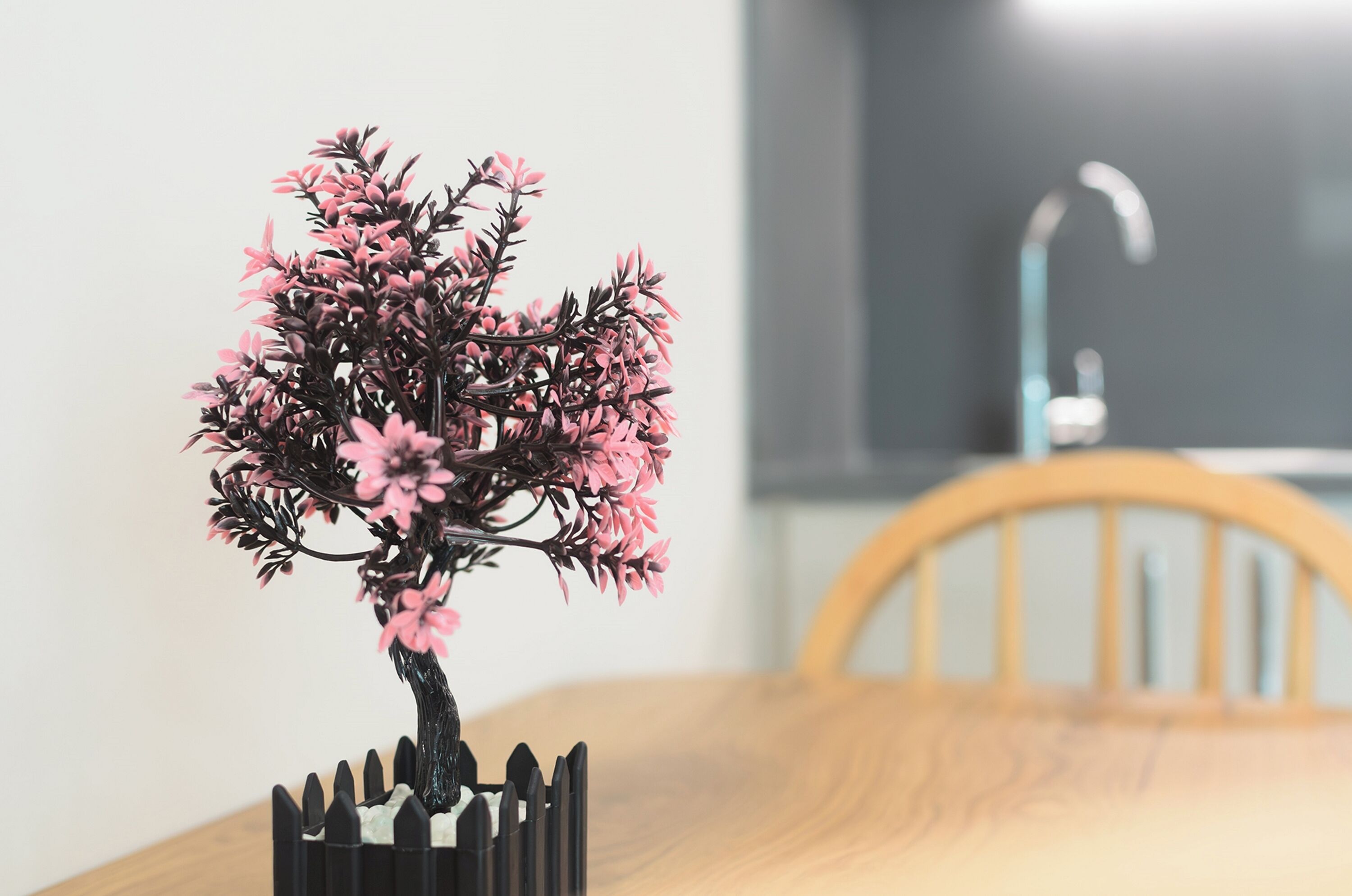 Uma árvore bonsai sobre uma mesa de madeira, com uma cadeira ao fundo.