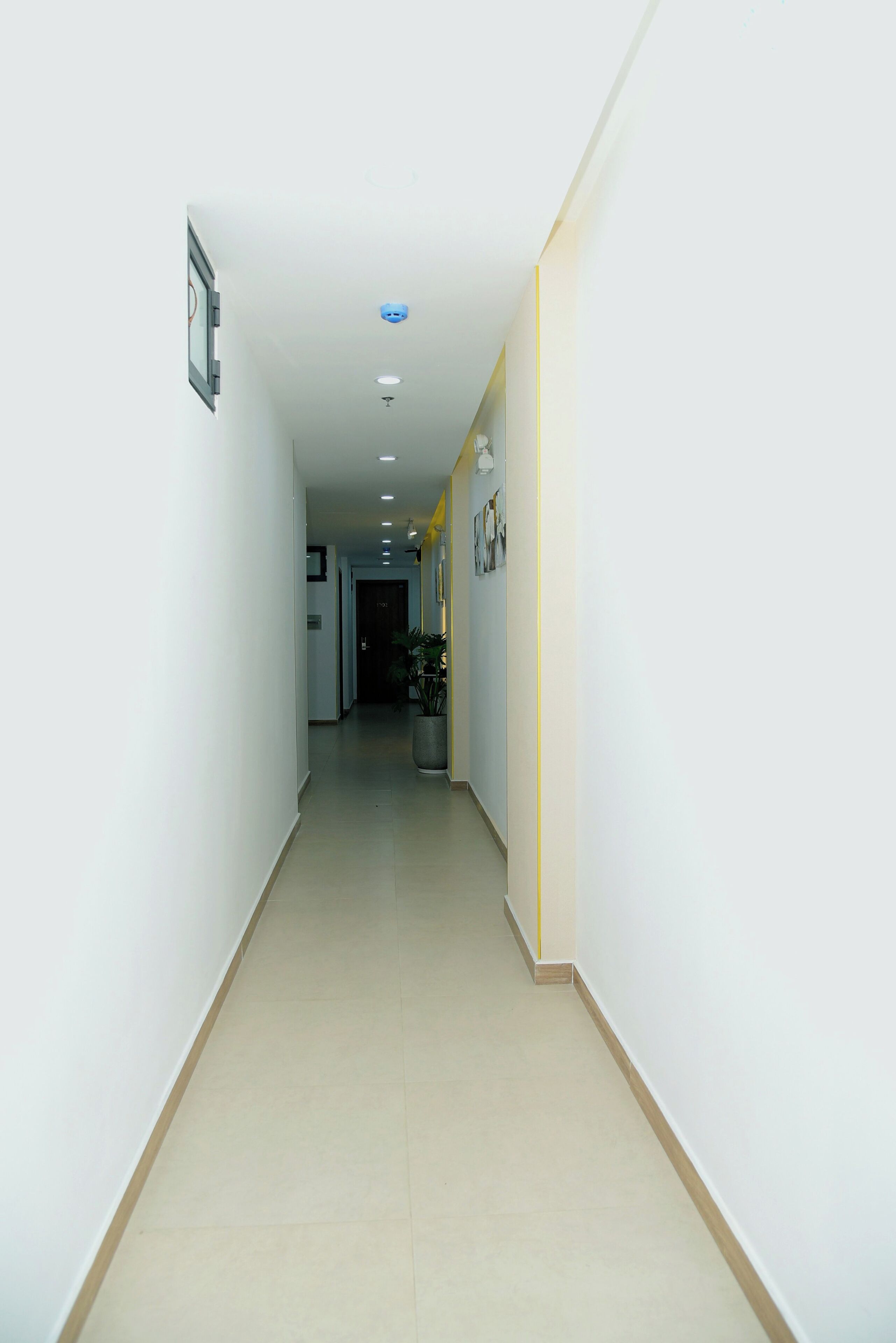 A narrow, well-lit hallway with a tiled floor, a potted plant, and a door at the end.