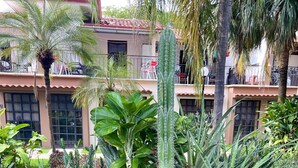 Ein Garten mit verschiedenen Kakteen und Sukkulenten, ein Gebäude mit Ziegeldach und ein gepflasterter Weg.