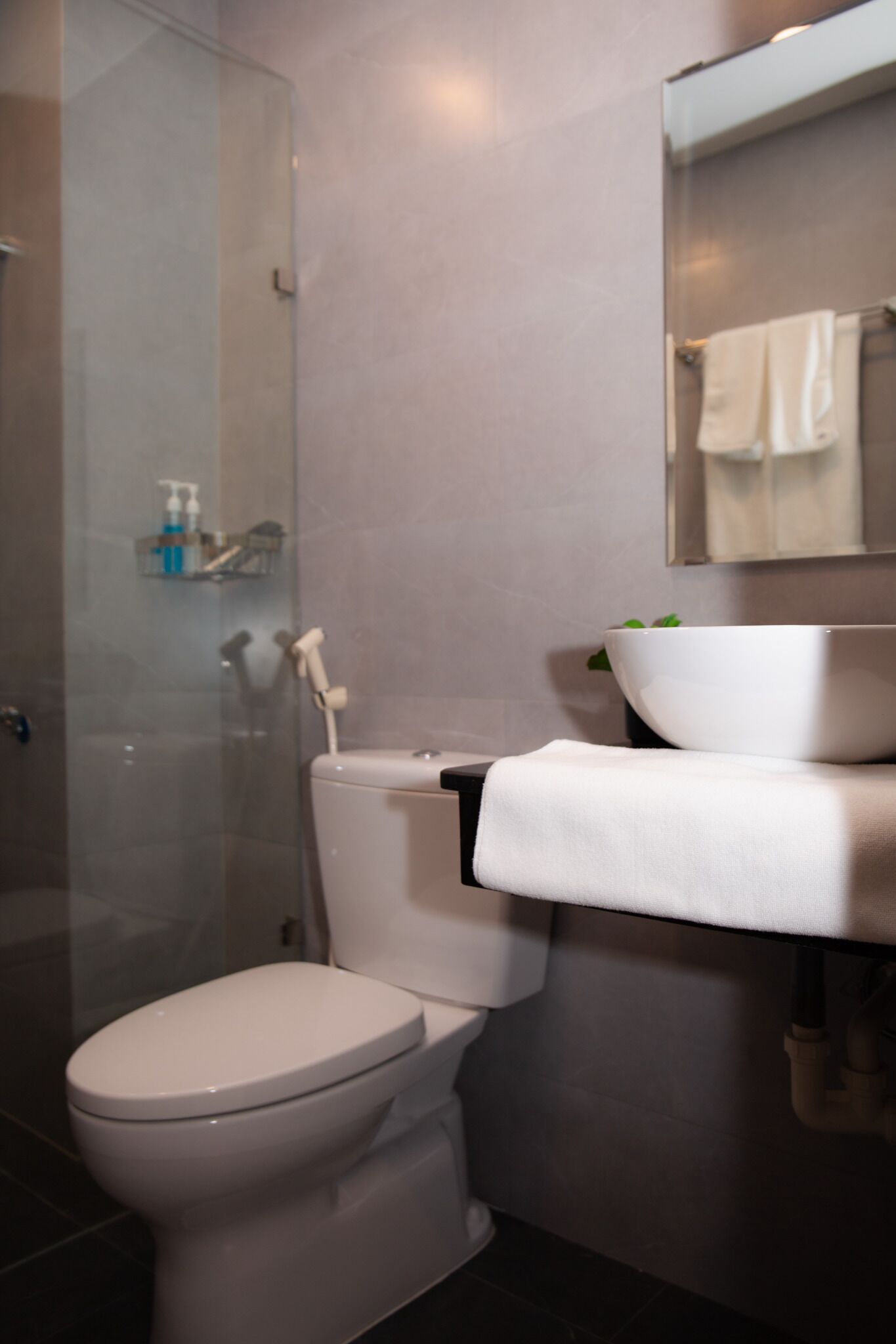 A modern bathroom with a toilet, a glass shower enclosure, a sink with a mirror above, and a towel rack.