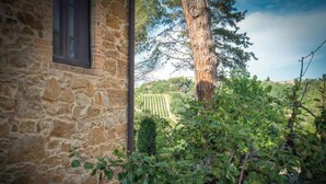 A stone building with a window, surrounded by greenery and a view of a vineyard. - ARMENIACA - Two-storey apartment measuring 120 m2 (Montaione)