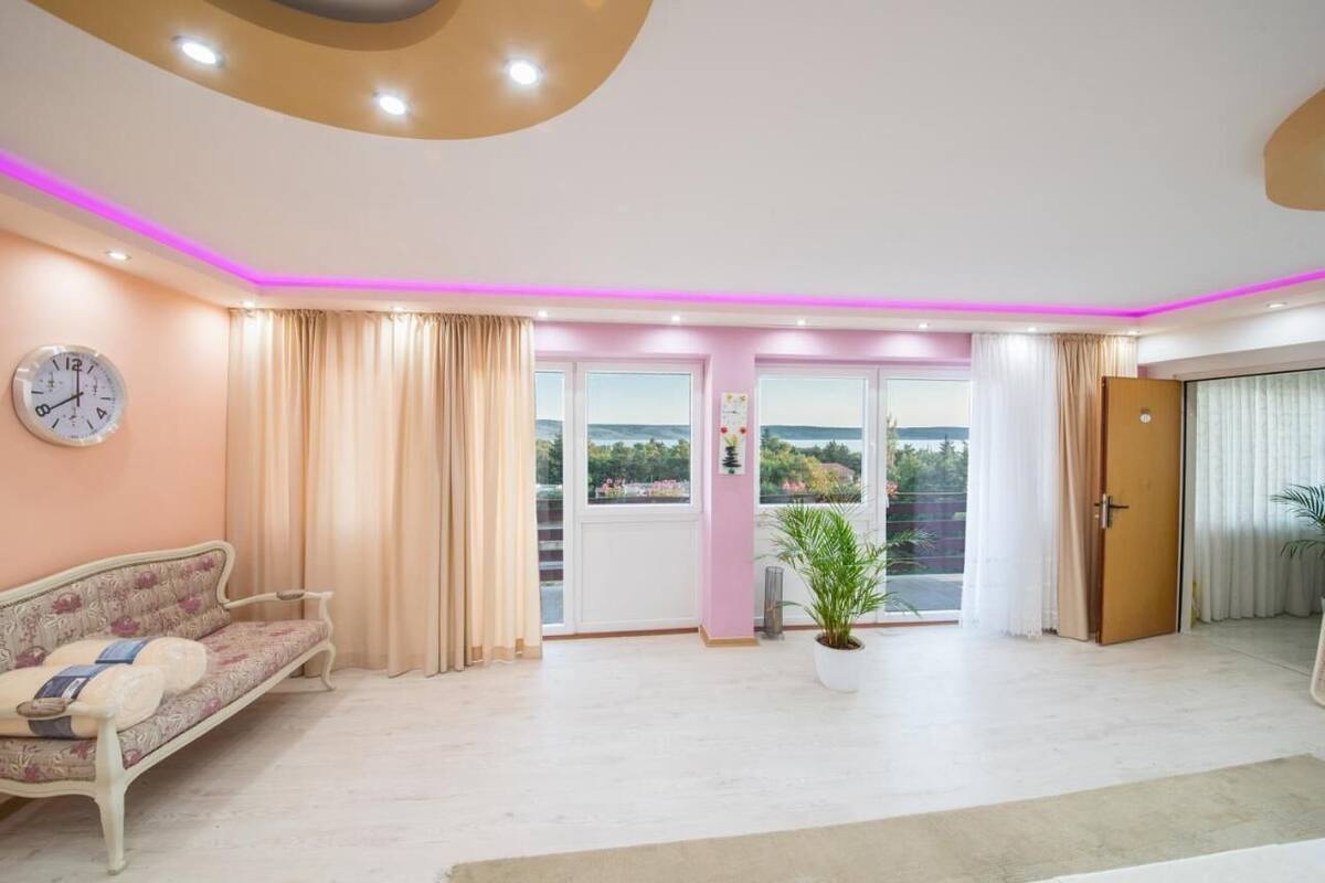 A spacious living room with a sofa, a potted plant, and a view through the glass doors.