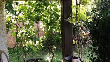 Terras