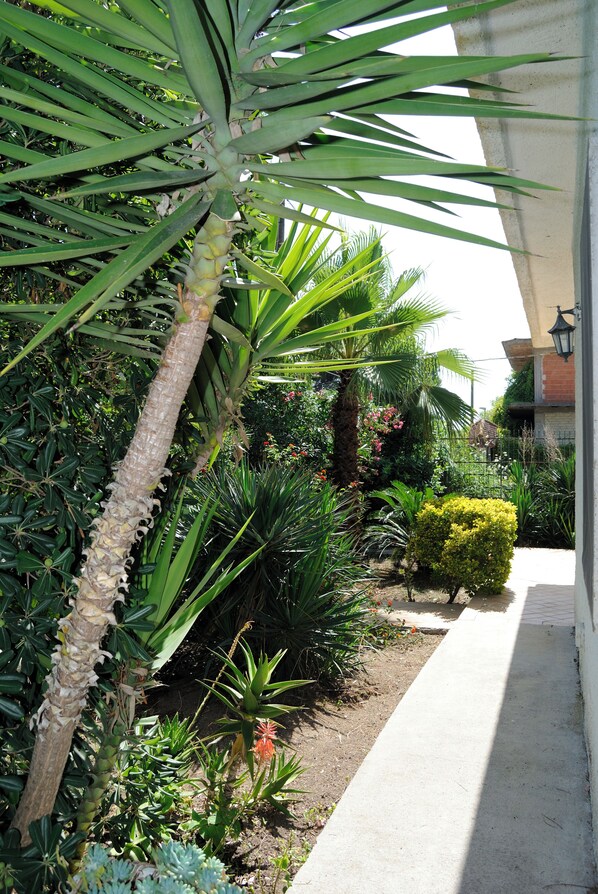 Details aan de buitenkant