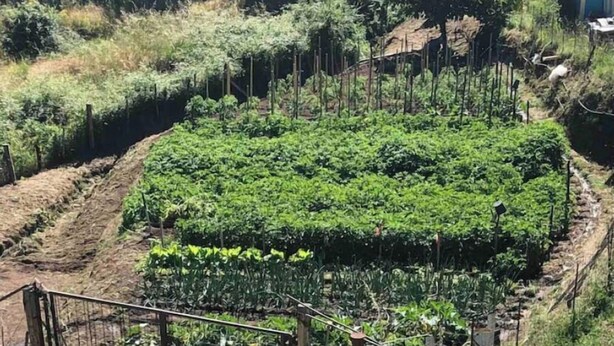 A garden with raised beds and a fenced area. - U Pianeddu (Olivese)