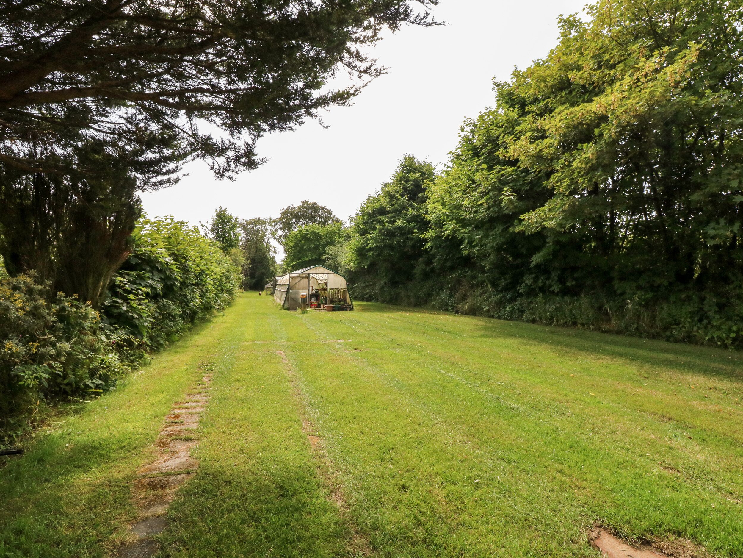 A rural pathway leading to a small, open-roofed structure surrounded by lush greenery.