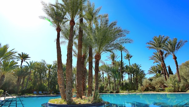 Terrace/patio - Palmeraie Green Resort (Marrakech)