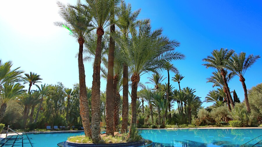 Palmeraie Green Resort