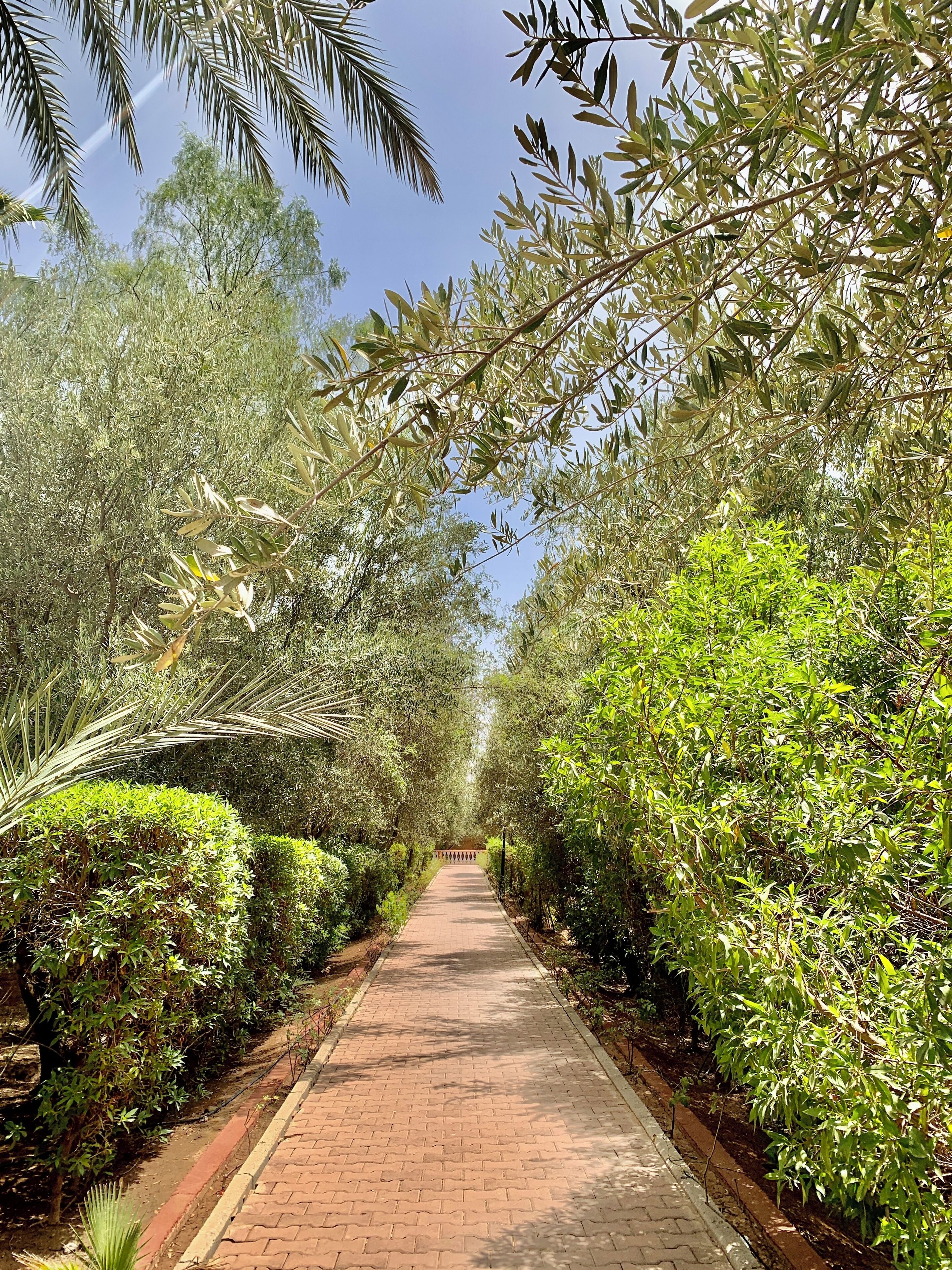 Garden view