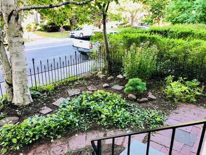 Historic Geneva Row House near Hobart William Smith Colleges and Linden Street.