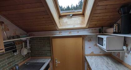 Modern studio apartment
