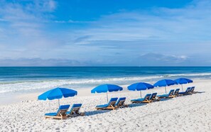 A beach with rows of blue sun loungers and matching umbrellas. - Phoenix East 509 2 Bedroom Condo (Orange Beach)