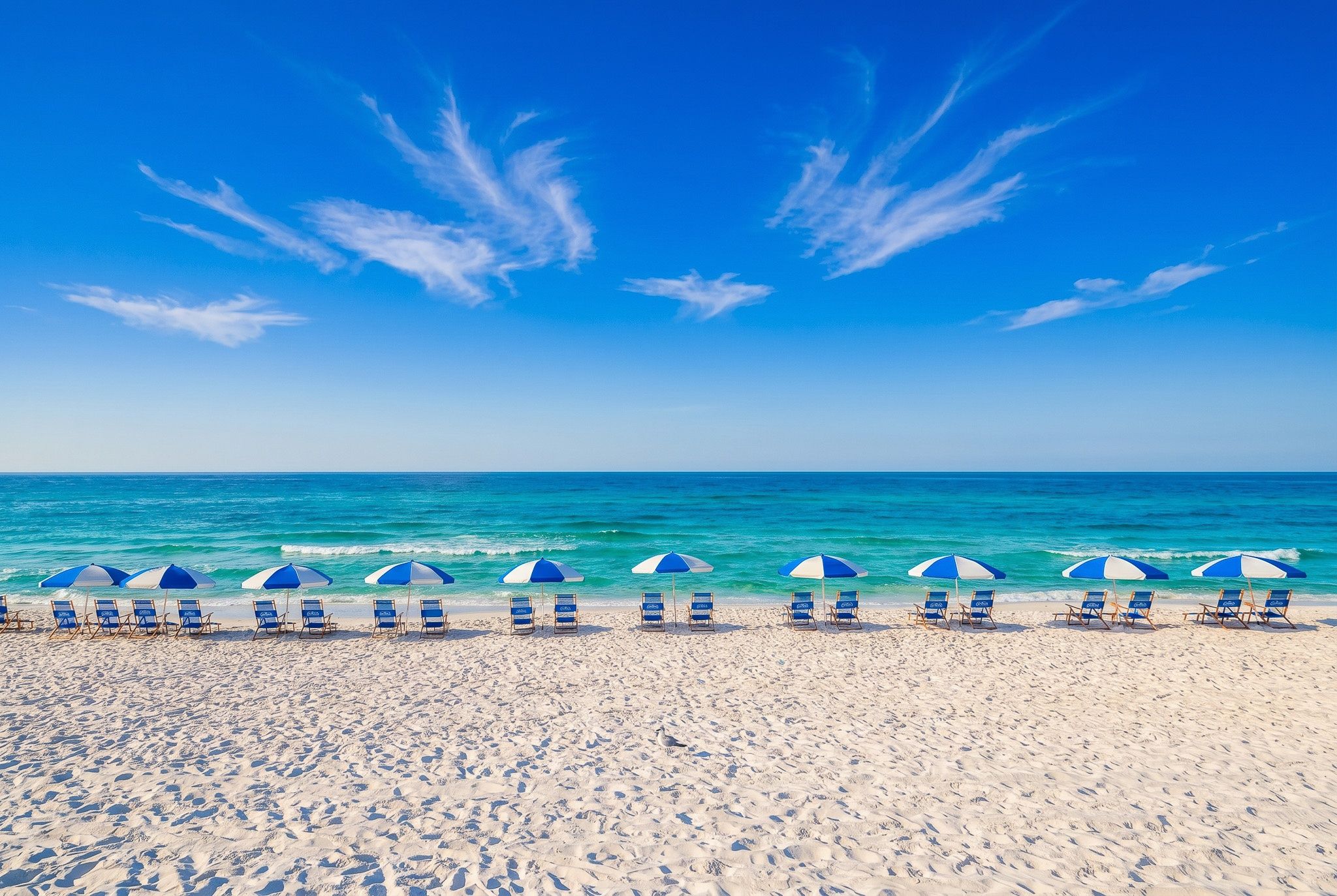 Une plage bordée de rangées de chaises de plage et de parasols bleus et blancs, un ciel dégagé et des vagues océaniques calmes.