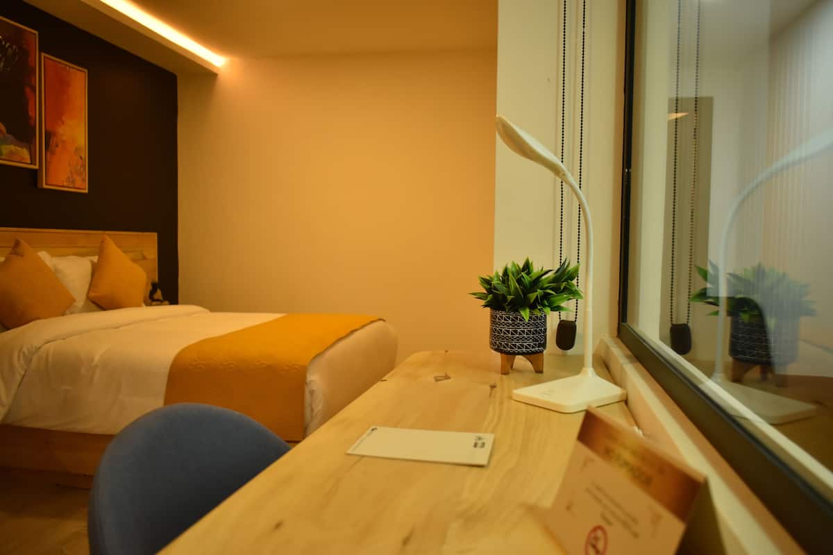 Una habitación de hotel con cama, escritorio, planta en maceta y ventana.
