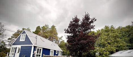 Una casa azul con techo de metal, un patio cercado y un árbol de hojas rojas.