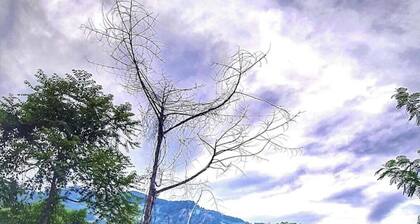 Cube on wheels for an unique experience