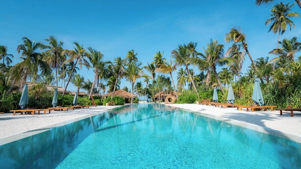 A clear blue pool surrounded by palm trees and wooden lounge chairs. - Sensations Eco-Chic Hotel (Pwani Mchangani)