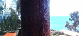 Quilla Wasi Isla del Sol