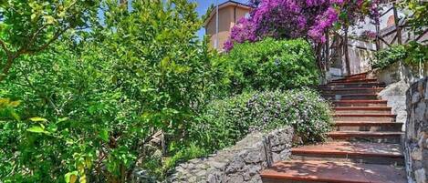 Áreas de la propiedad