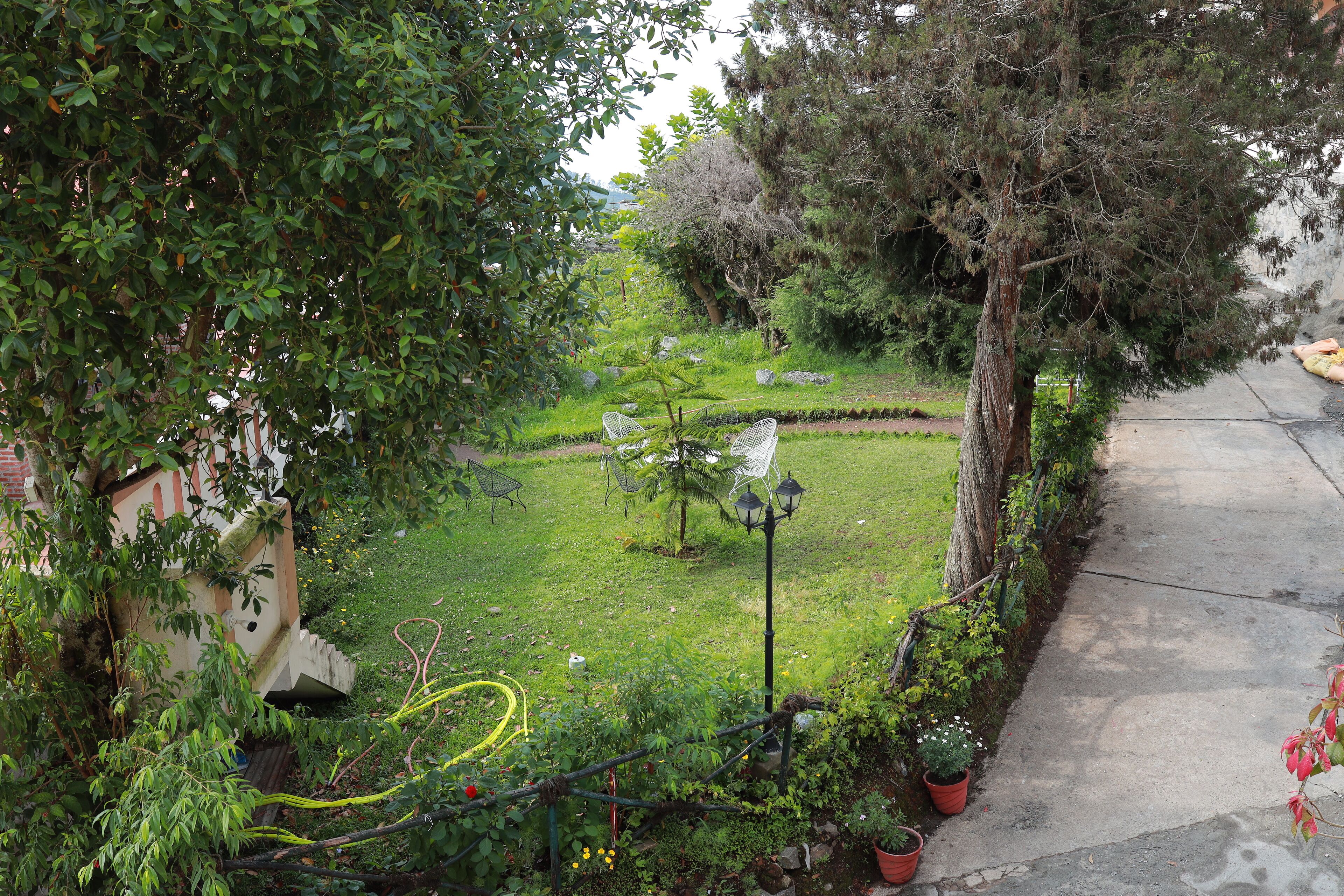 Un jardín con césped, un árbol pequeño y un sendero.