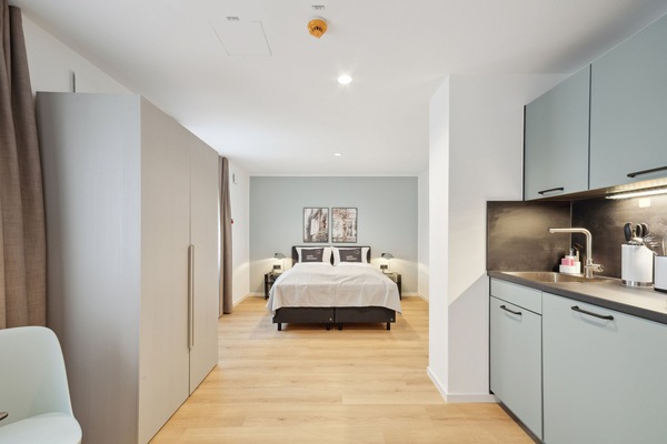 Suite | 1 bedroom, individually decorated, individually furnished, desk