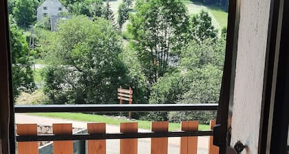 Studio 27 m2 avec garage,  Ă  15 mn Ă  pieds du centre de Villard de Lans