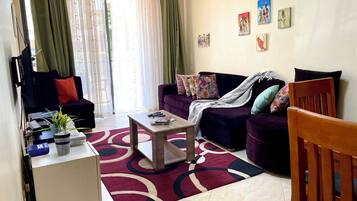 Smart TV, video games, DVD player, books