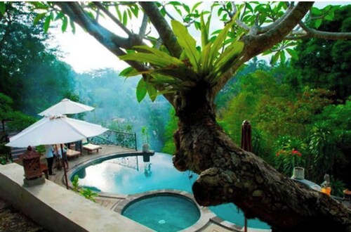 Ubud Dedari Villa Bedulu - Villa