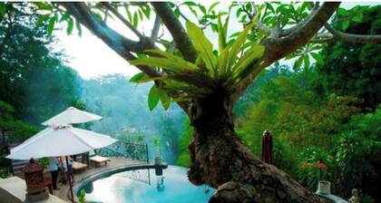 Ubud Dedari Villa Bedulu - Villa