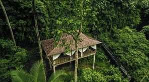 Escape to a secluded retreat surrounded by lush tropical foliage, with a balcony offering a view of the surrounding greenery.