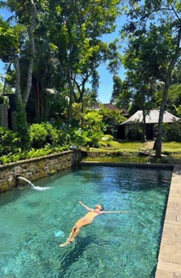 Guests can enjoy a refreshing swim in the pool surrounded by lush greenery and trees.