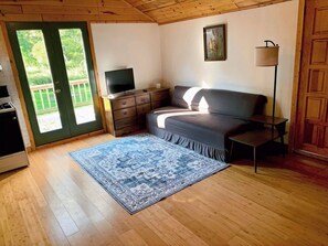 TV, fireplace, books - Cold Spring Lodge - Cabin 7 (Big Indian)