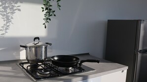Une cuisine équipée d’une cuisinière, d’un four et d’une plante suspendue.