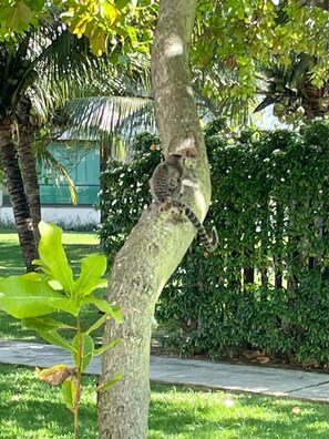 Apartment | Property grounds