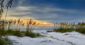 Ein Strand mit Sand und Gras, ein Sonnenuntergang und ein klarer Himmel.