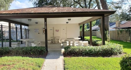 Pool, Private Yard, Grill, Massage Bed Within 2 miles of USF, Moffit Center