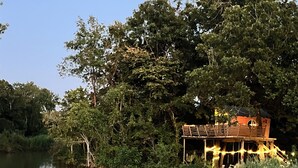 Ein hölzernes Hausboot mit Deck und Geländer, umgeben von üppiger Vegetation und ruhigem Gewässer.