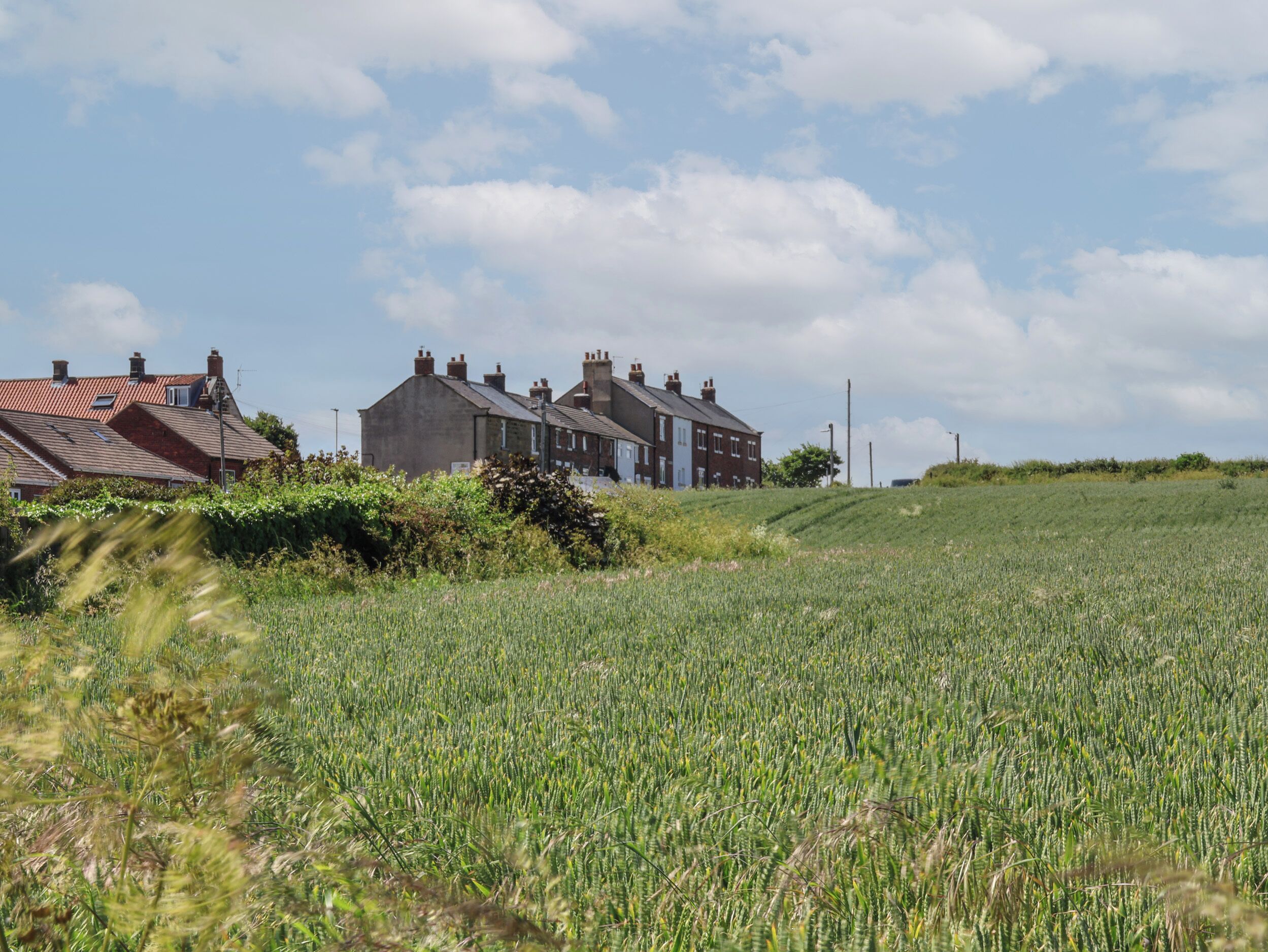 A rural landscape with houses and a field.