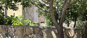 Vi Ja Villa Janas