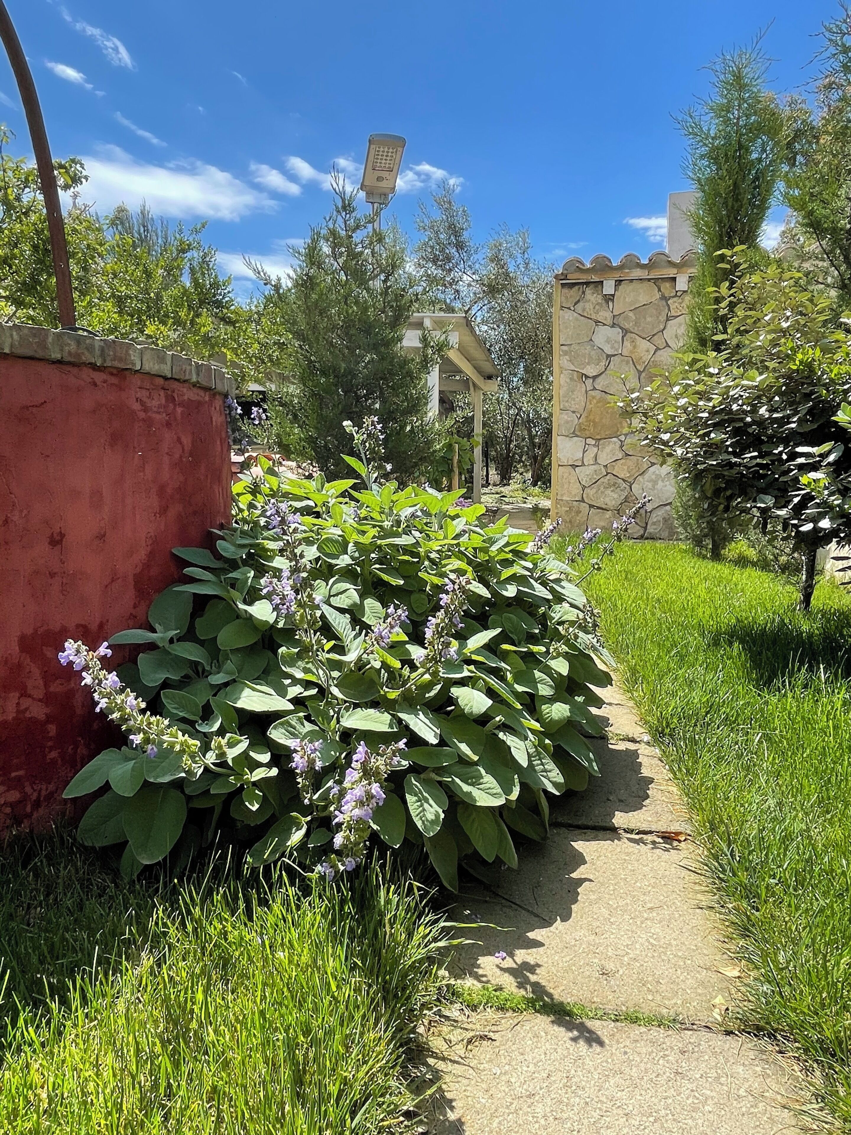 Foto - Vi Ja Villa Janas Cagliari Resort