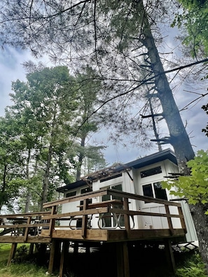Une cabane dotée d’une terrasse en bois et de nombreuses fenêtres, entourée de grands arbres.