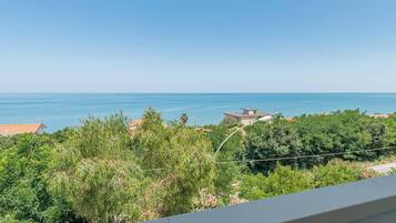 Vista dalla struttura