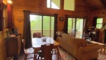 Smart TV, fireplace, DVD player, books