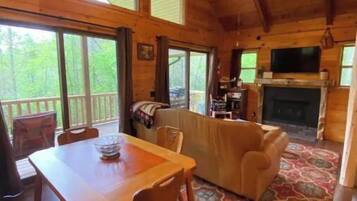 Smart TV, fireplace, DVD player, books