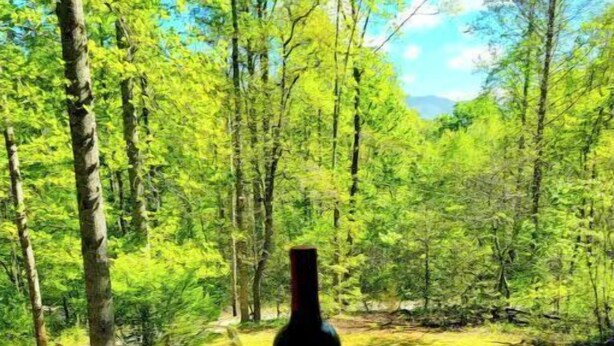 A table with a bottle of wine, two wine glasses, and a bowl of strawberries. - Bear Creek Retreat (Robbinsville)