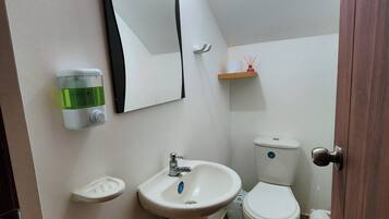 Ducha, toallas, jabón y champú
