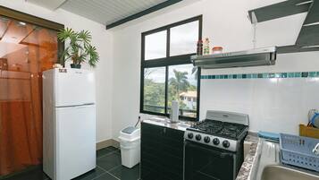 Deluxe Apartment | Private kitchen | Full-size fridge, microwave, stovetop, rice cooker