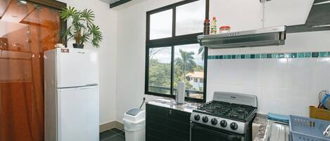 Căn hộ Deluxe | Bếp riêng | Tủ lạnh, lò vi sóng, bếp nấu, nồi cơm