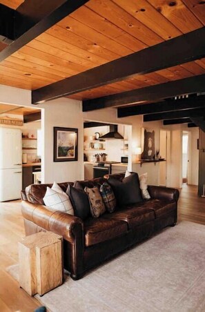 Smart-TV, Kamin, Bücher, Musikbibliothek